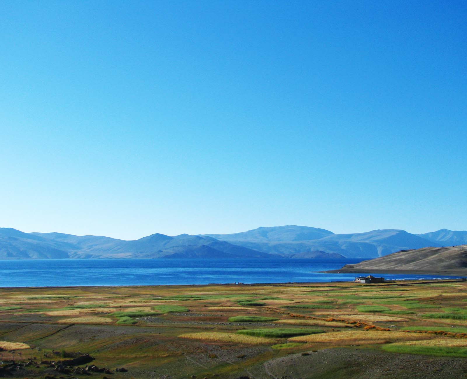 tso moriri lake