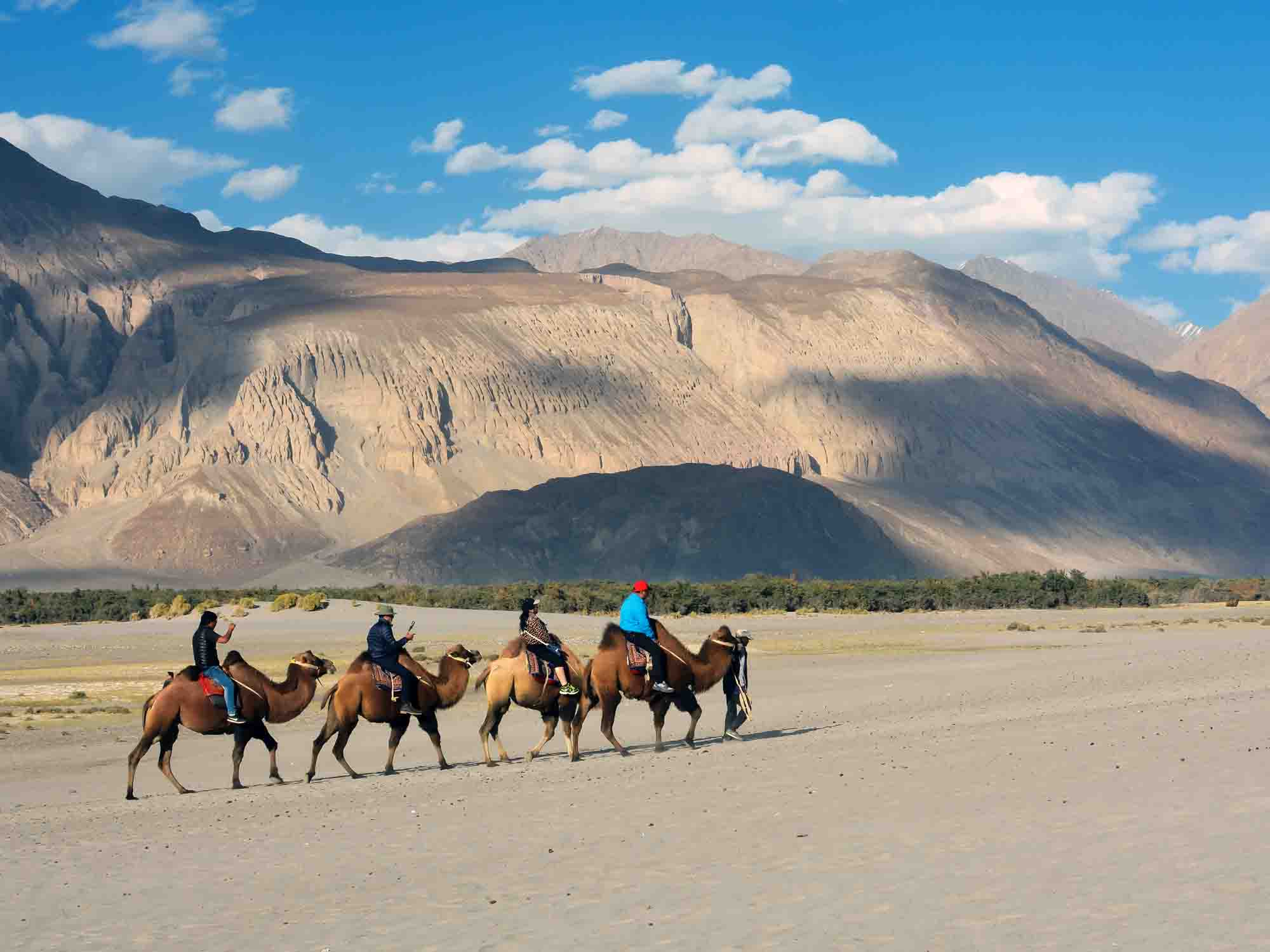 Nubra Valley