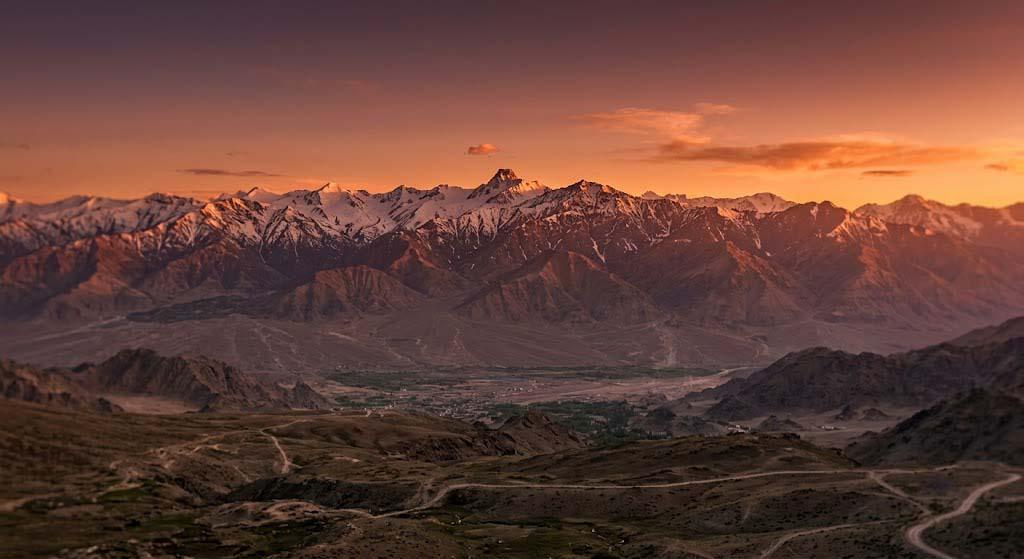 Tiger Hill Drass